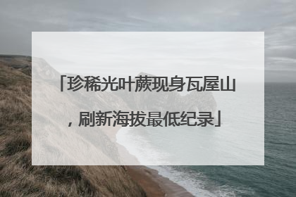 珍稀光叶蕨现身瓦屋山，刷新海拔最低纪录
