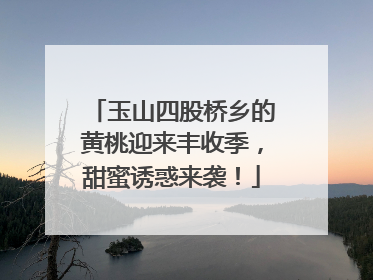 玉山四股桥乡的黄桃迎来丰收季，甜蜜诱惑来袭！