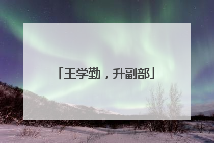 王学勤，升副部