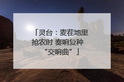 灵台：麦茬地里抢农时 奏响复种“交响曲”