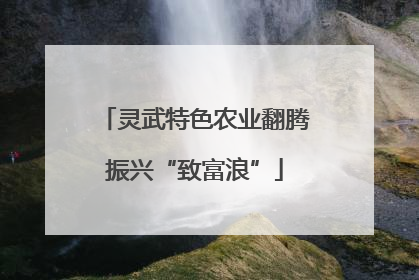 灵武特色农业翻腾振兴“致富浪”