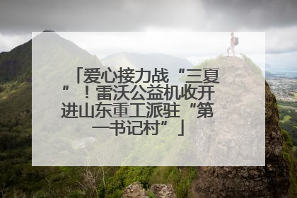 爱心接力战“三夏”！雷沃公益机收开进山东重工派驻“第一书记村”