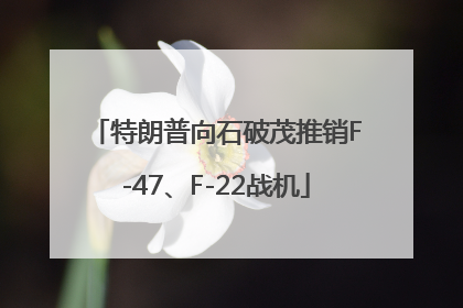特朗普向石破茂推销F-47、F-22战机