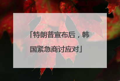 特朗普宣布后，韩国紧急商讨应对