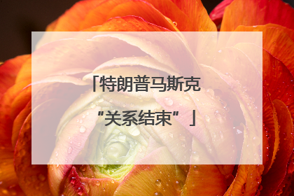 特朗普马斯克“关系结束”
