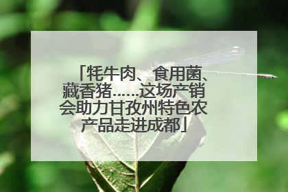 牦牛肉、食用菌、藏香猪……这场产销会助力甘孜州特色农产品走进成都