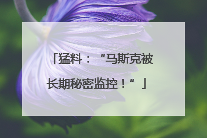猛料：“马斯克被长期秘密监控！”