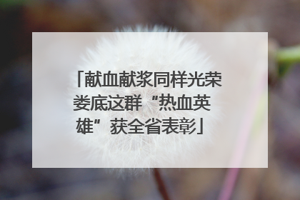 献血献浆同样光荣 娄底这群“热血英雄”获全省表彰