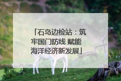 石岛边检站：筑牢国门防线 赋能海洋经济新发展