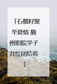 石榴籽聚华夏情 随州职院学子共绘团结卷