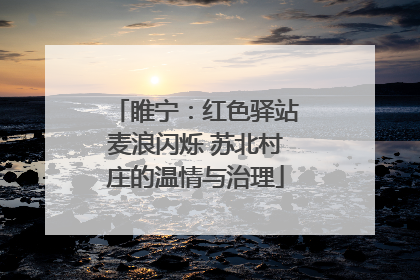 睢宁：红色驿站麦浪闪烁 苏北村庄的温情与治理