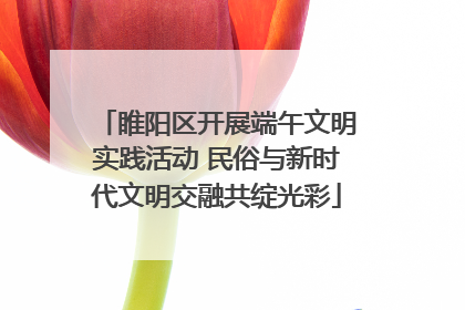 睢阳区开展端午文明实践活动 民俗与新时代文明交融共绽光彩