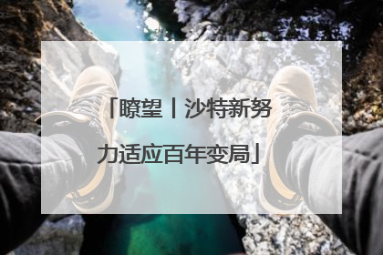 瞭望丨沙特新努力适应百年变局