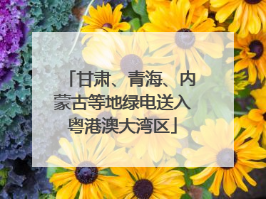 甘肃、青海、内蒙古等地绿电送入粤港澳大湾区