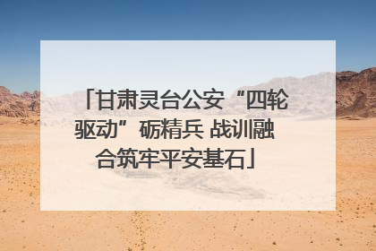 甘肃灵台公安“四轮驱动”砺精兵 战训融合筑牢平安基石