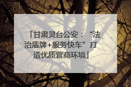 甘肃灵台公安：“法治盾牌+服务快车”打造优质营商环境