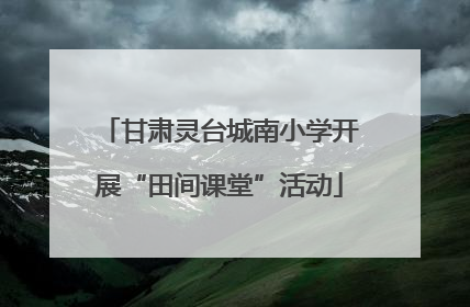 甘肃灵台城南小学开展“田间课堂”活动