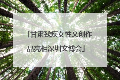 甘肃残疾女性文创作品亮相深圳文博会