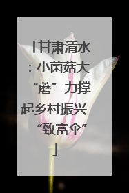 甘肃清水：小菌菇大“蘑”力撑起乡村振兴“致富伞”