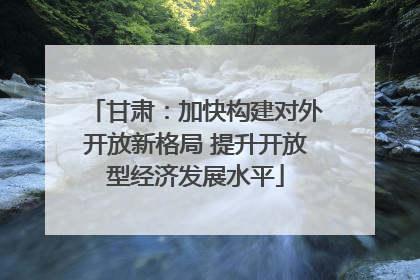 甘肃：加快构建对外开放新格局 提升开放型经济发展水平