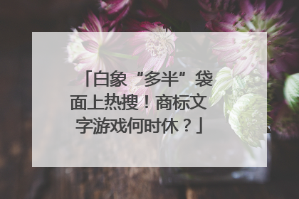 白象“多半”袋面上热搜！商标文字游戏何时休？
