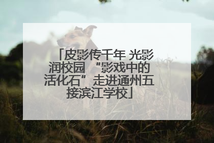 皮影传千年 光影润校园 “影戏中的活化石”走进通州五接滨江学校