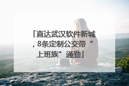 直达武汉软件新城，8条定制公交带“上班族”通勤