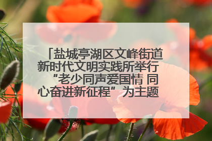 盐城亭湖区文峰街道新时代文明实践所举行“老少同声爱国情 同心奋进新征程”为主题的红色文化活动