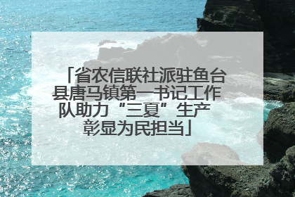 省农信联社派驻鱼台县唐马镇第一书记工作队助力“三夏”生产 彰显为民担当