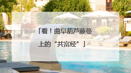 看！曲阜葫芦藤蔓上的“共富经”