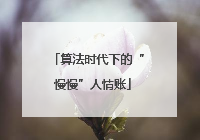 算法时代下的“慢慢”人情账