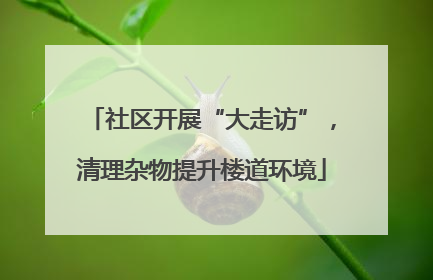社区开展“大走访”，清理杂物提升楼道环境
