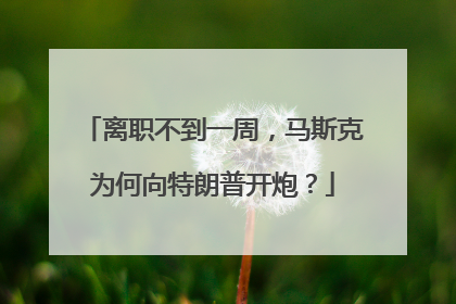 离职不到一周，马斯克为何向特朗普开炮？