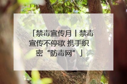 禁毒宣传月丨禁毒宣传不停歇 携手织密“防毒网”