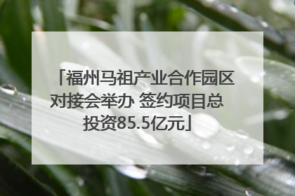 福州马祖产业合作园区对接会举办 签约项目总投资85.5亿元