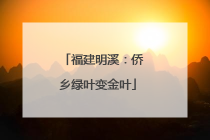 福建明溪：侨乡绿叶变金叶