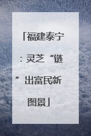 福建泰宁：灵芝“链”出富民新图景