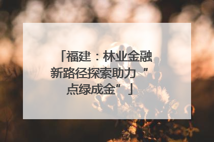 福建：林业金融新路径探索助力“点绿成金”