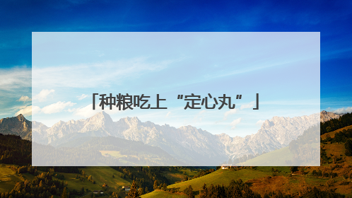 种粮吃上“定心丸”