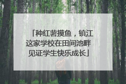 种红薯摸鱼，镇江这家学校在田间池畔见证学生快乐成长