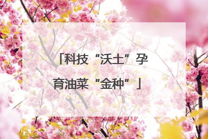 科技“沃土”孕育油菜“金种”
