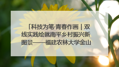 科技为笔·青春作画｜双线实践绘就南平乡村振兴新图景——福建农林大学金山学院青年学子以智慧与科技激活乡村发展新动能