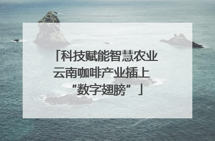 科技赋能智慧农业 云南咖啡产业插上“数字翅膀”