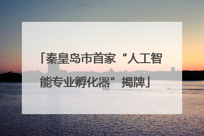 秦皇岛市首家“人工智能专业孵化器”揭牌