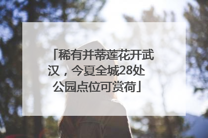 稀有并蒂莲花开武汉，今夏全城28处公园点位可赏荷