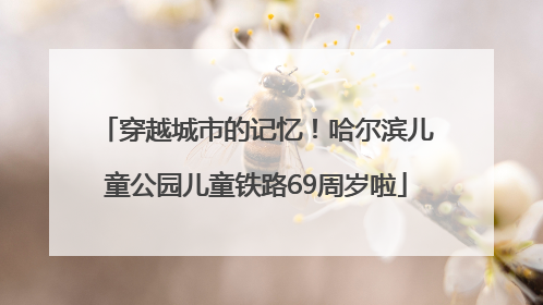 穿越城市的记忆！哈尔滨儿童公园儿童铁路69周岁啦