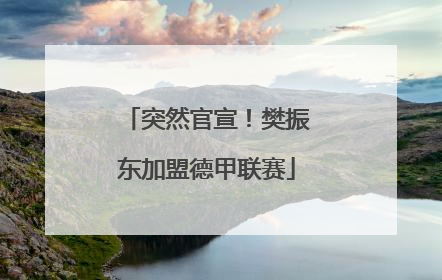 突然官宣！樊振东加盟德甲联赛