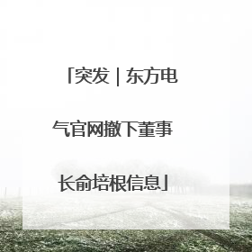 突发｜东方电气官网撤下董事长俞培根信息