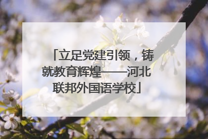 立足党建引领，铸就教育辉煌——河北联邦外国语学校
