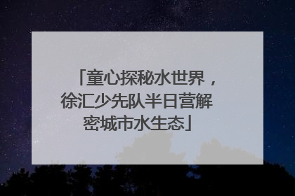 童心探秘水世界，徐汇少先队半日营解密城市水生态